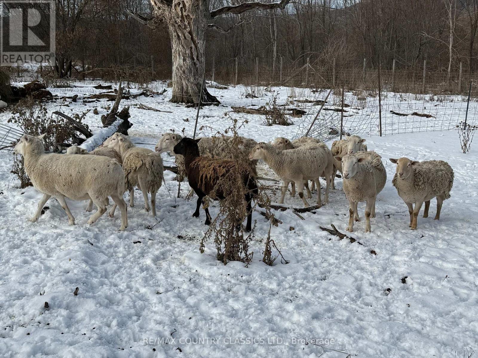 219 Comerford Road S, Brudenell, Lyndoch And Raglan, ON