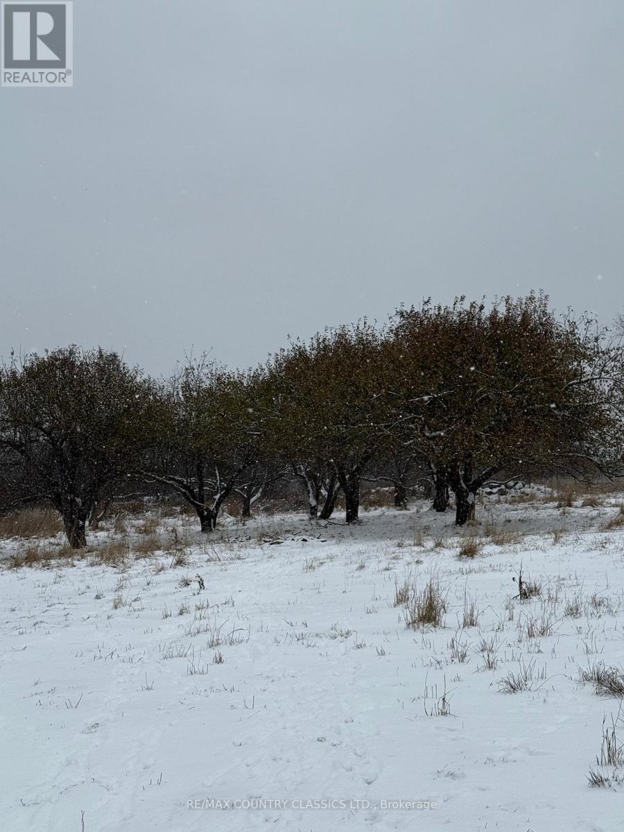 219 Comerford Road S, Brudenell, Lyndoch And Raglan, ON