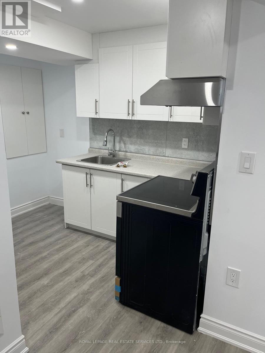 Lower - 1105 Field Drive, Milton, ON - Indoor Photo Showing Kitchen With Double Sink