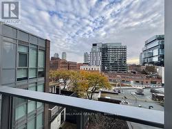 Leafy tree top views -