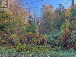 28 GEORGE STREET Bluewater (Bayfield), ON N0M 1G0