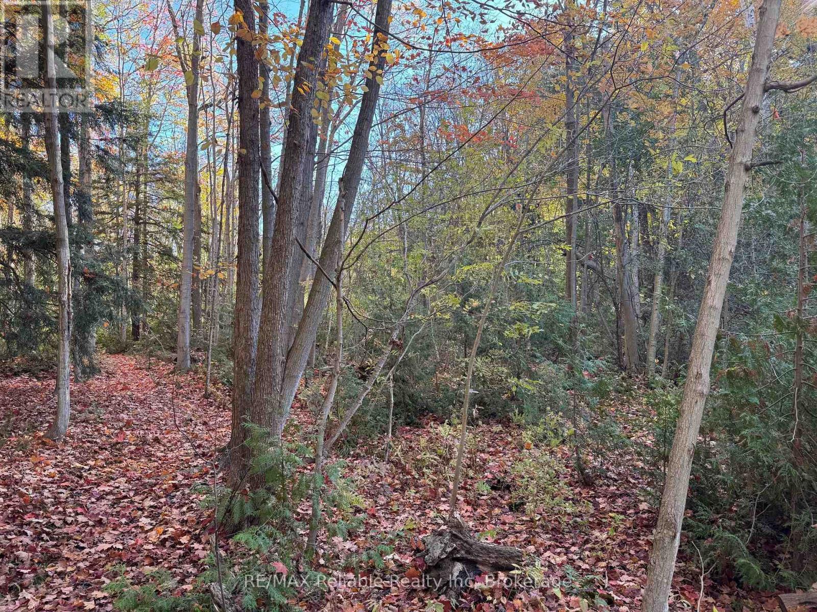 28 George Street, Bluewater (Bayfield), ON