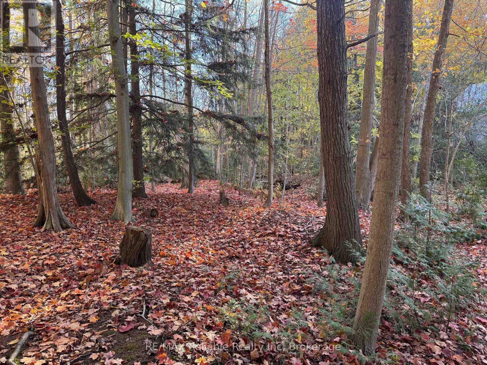 28 George Street, Bluewater (Bayfield), ON