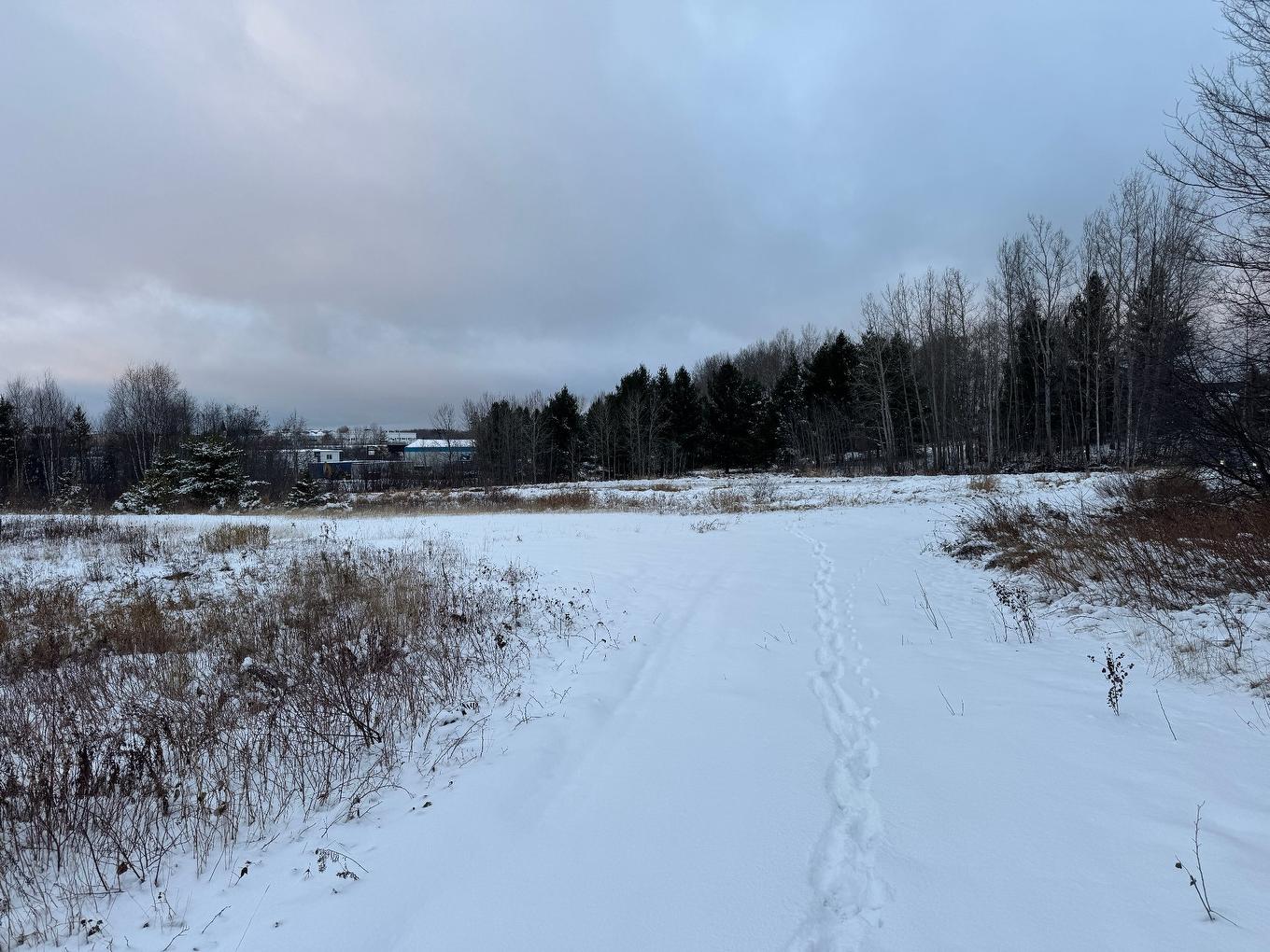 Land/Lot - Rue Du Moulin, Barraute, QC