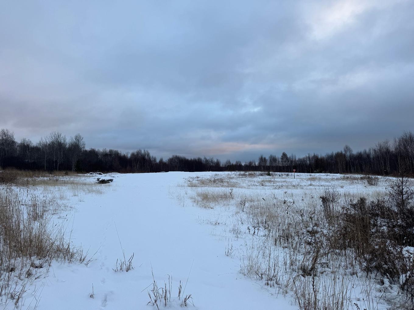 Land/Lot - Rue Du Moulin, Barraute, QC