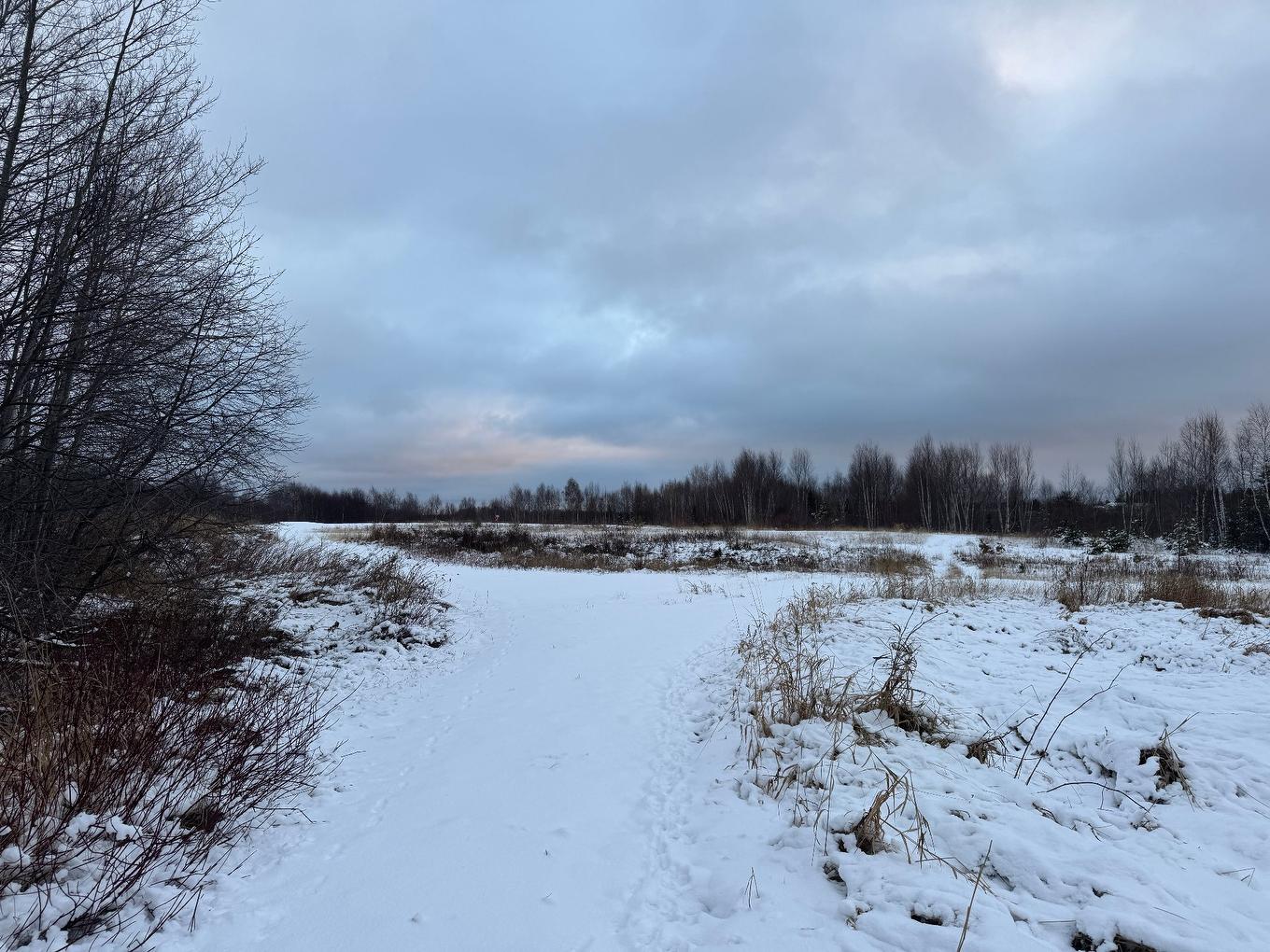 Land/Lot - Rue Du Moulin, Barraute, QC