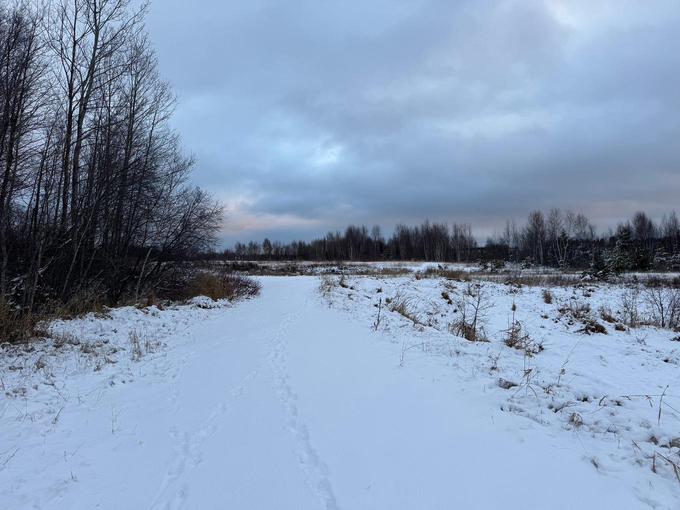 Land/Lot - Rue Du Moulin, Barraute, QC