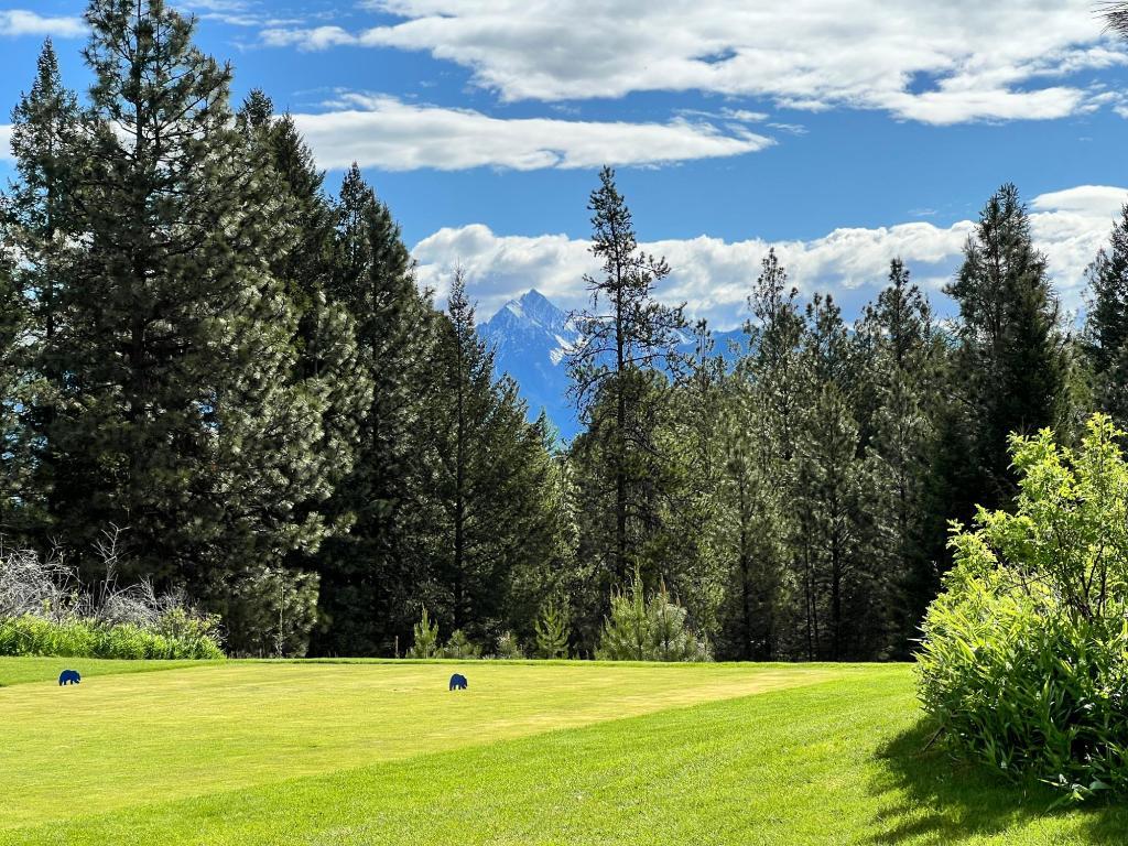 305 Corral Place, Cranbrook, BC - Outdoor With View