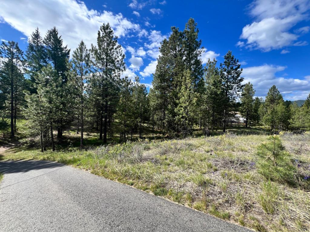 305 Corral Place, Cranbrook, BC - Outdoor With View