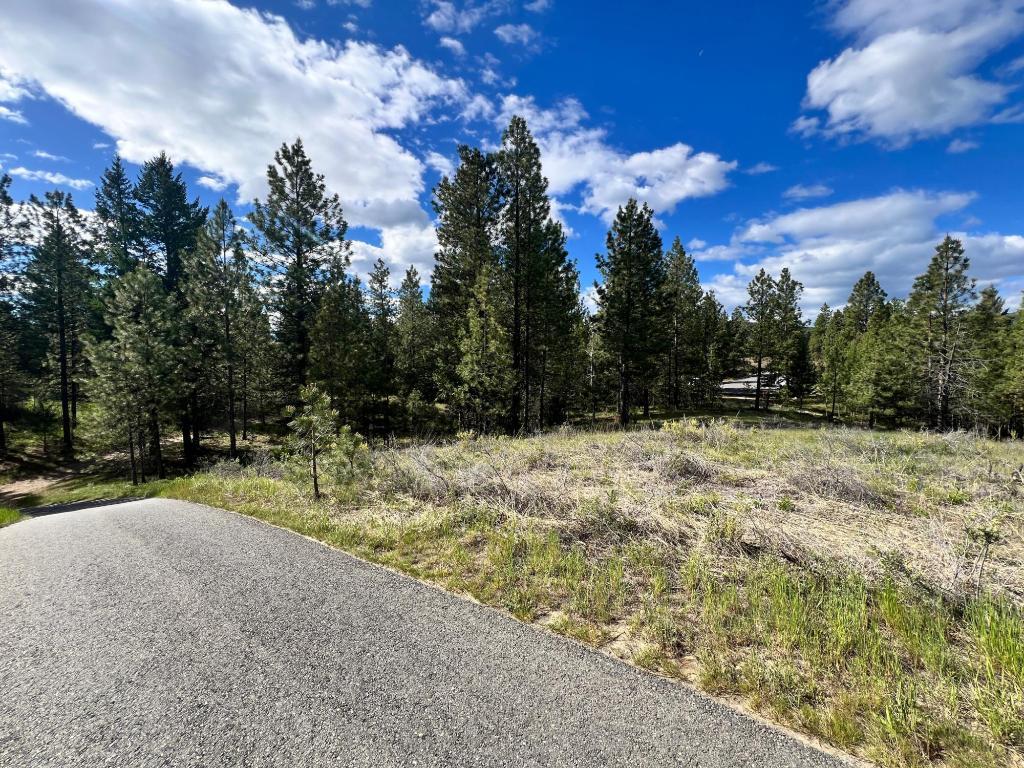 305 Corral Place, Cranbrook, BC - Outdoor With View