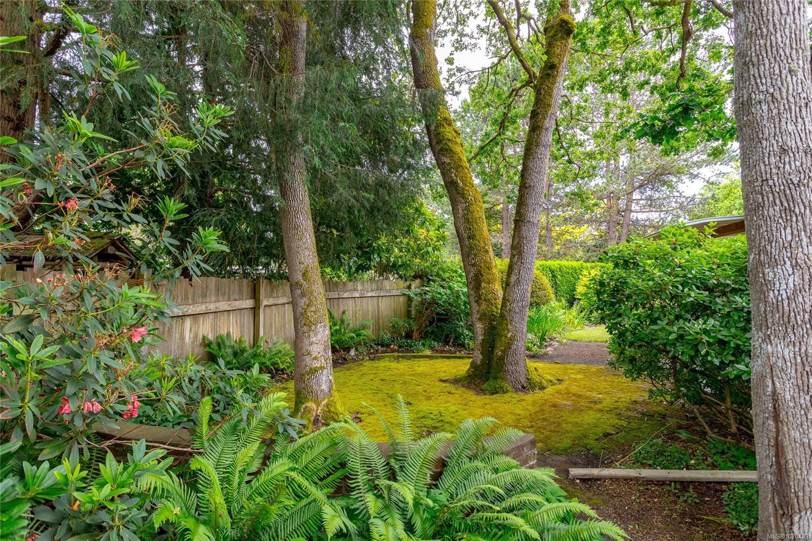 1941 Mayfair Dr, Saanich, BC