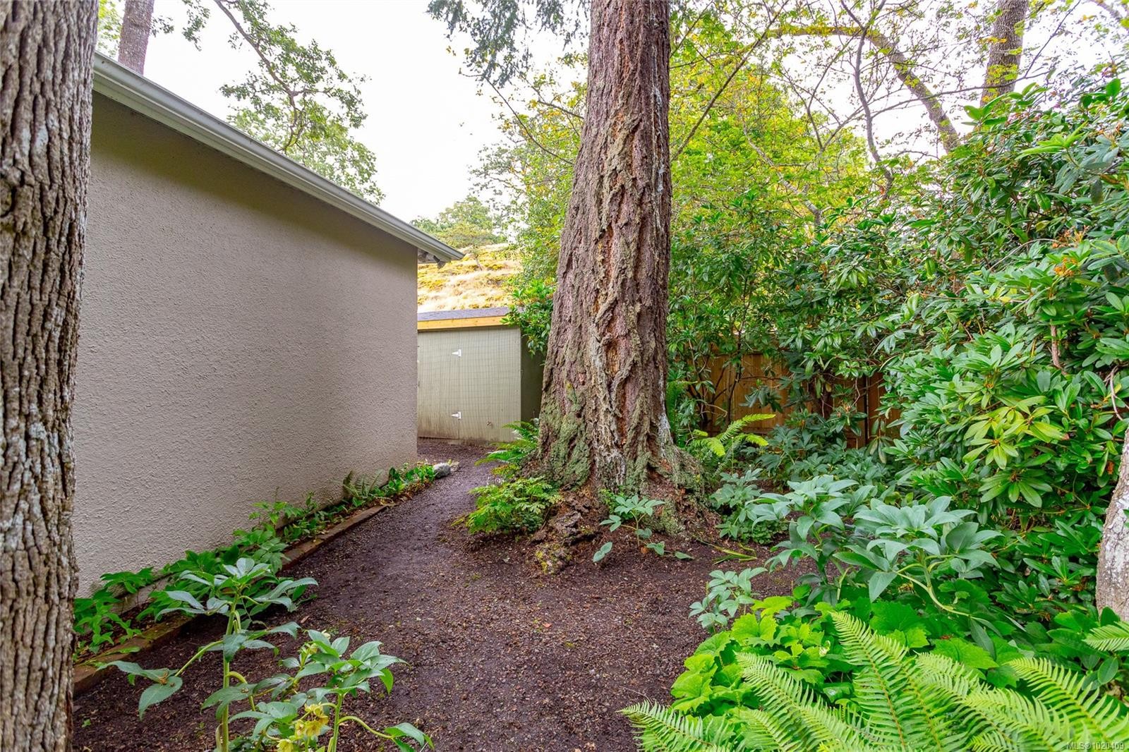 1941 Mayfair Dr, Saanich, BC