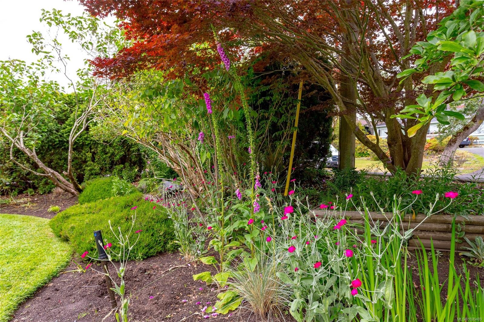 1941 Mayfair Dr, Saanich, BC