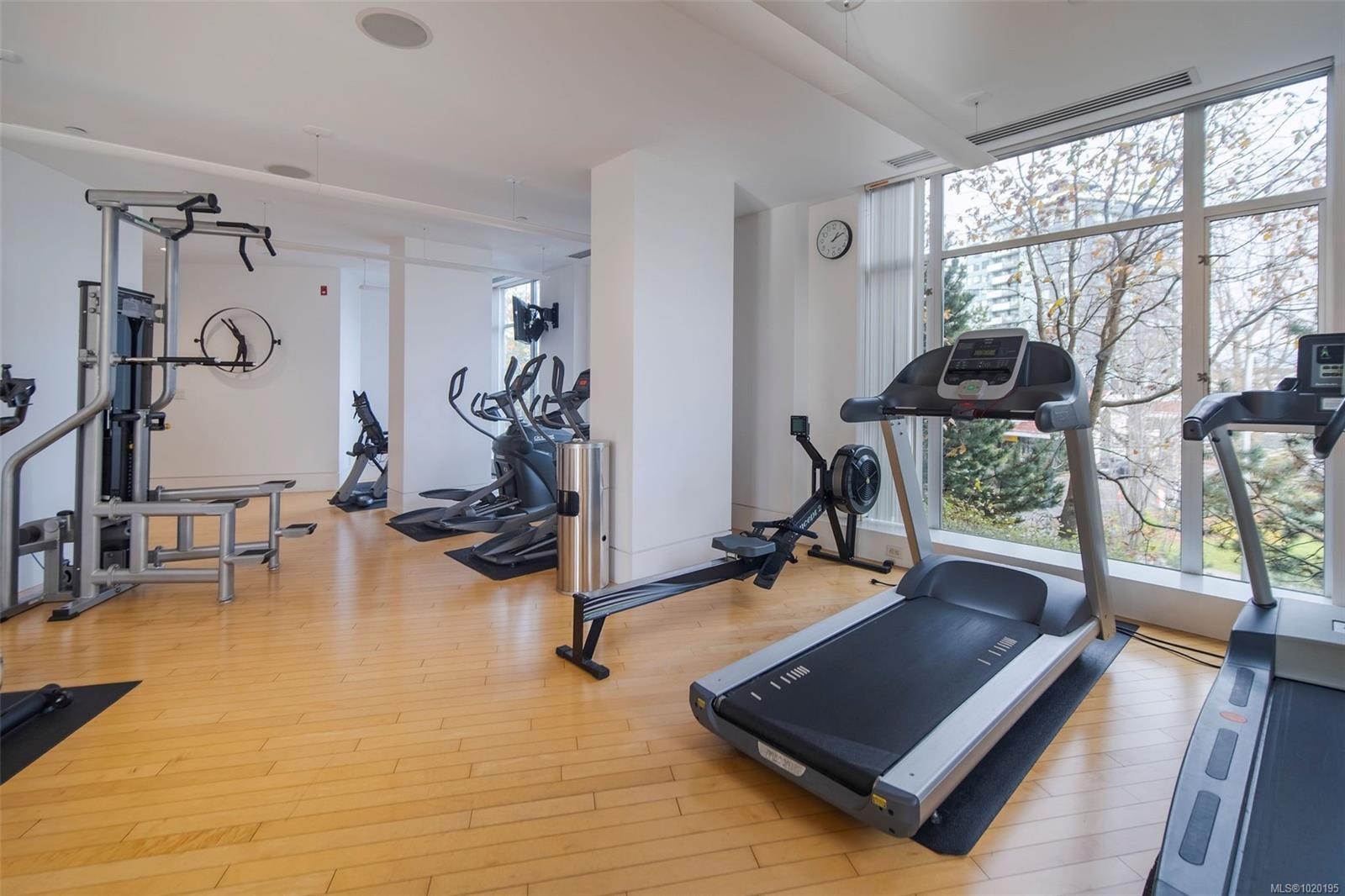 213-100 Saghalie Rd, Victoria, BC - Indoor Photo Showing Gym Room