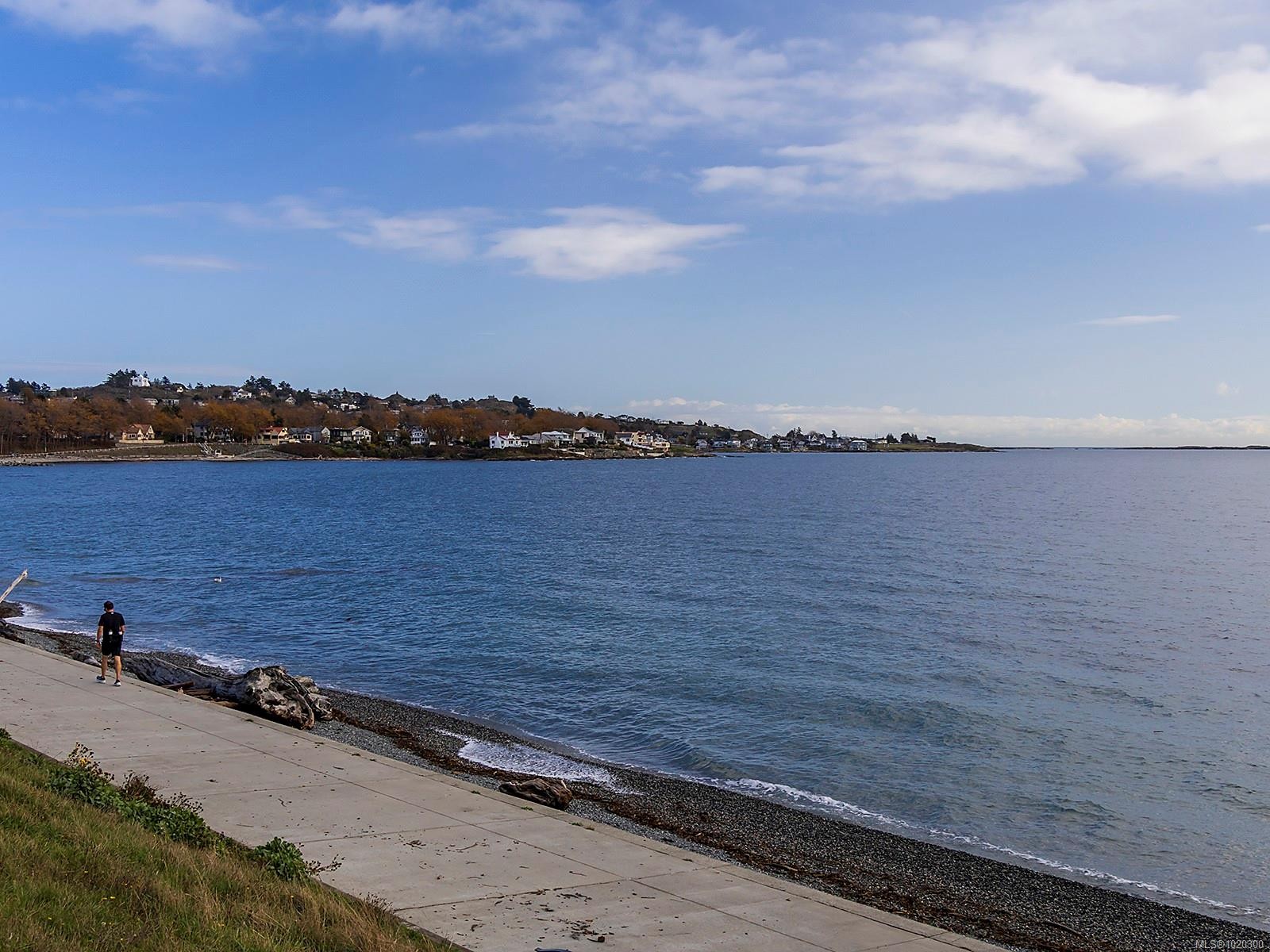 1480 Dallas Rd, Victoria, BC - Outdoor With Body Of Water With View