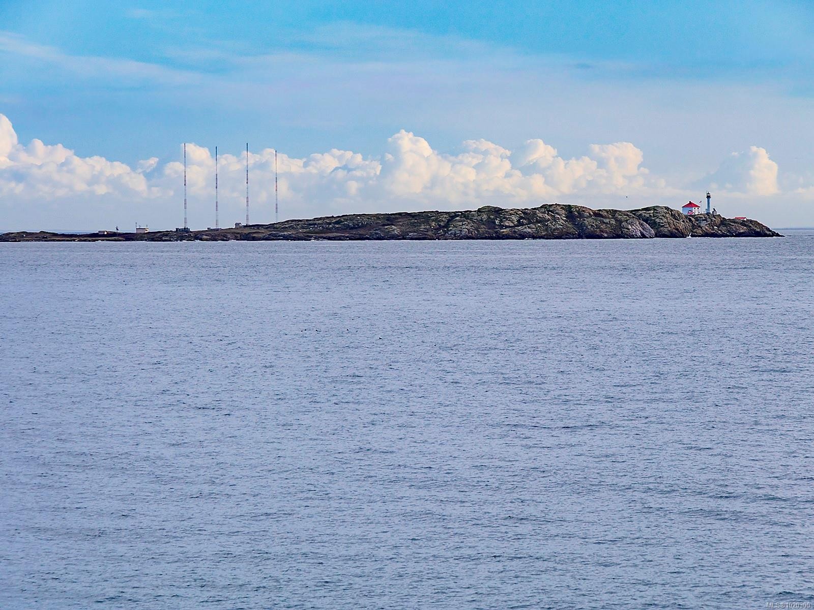 1480 Dallas Rd, Victoria, BC - Outdoor With Body Of Water With View