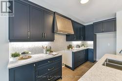 Quartz counter and quartz backsplash, pot drawers -