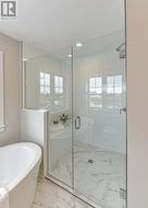 Walk in glassed shower with built in bench -