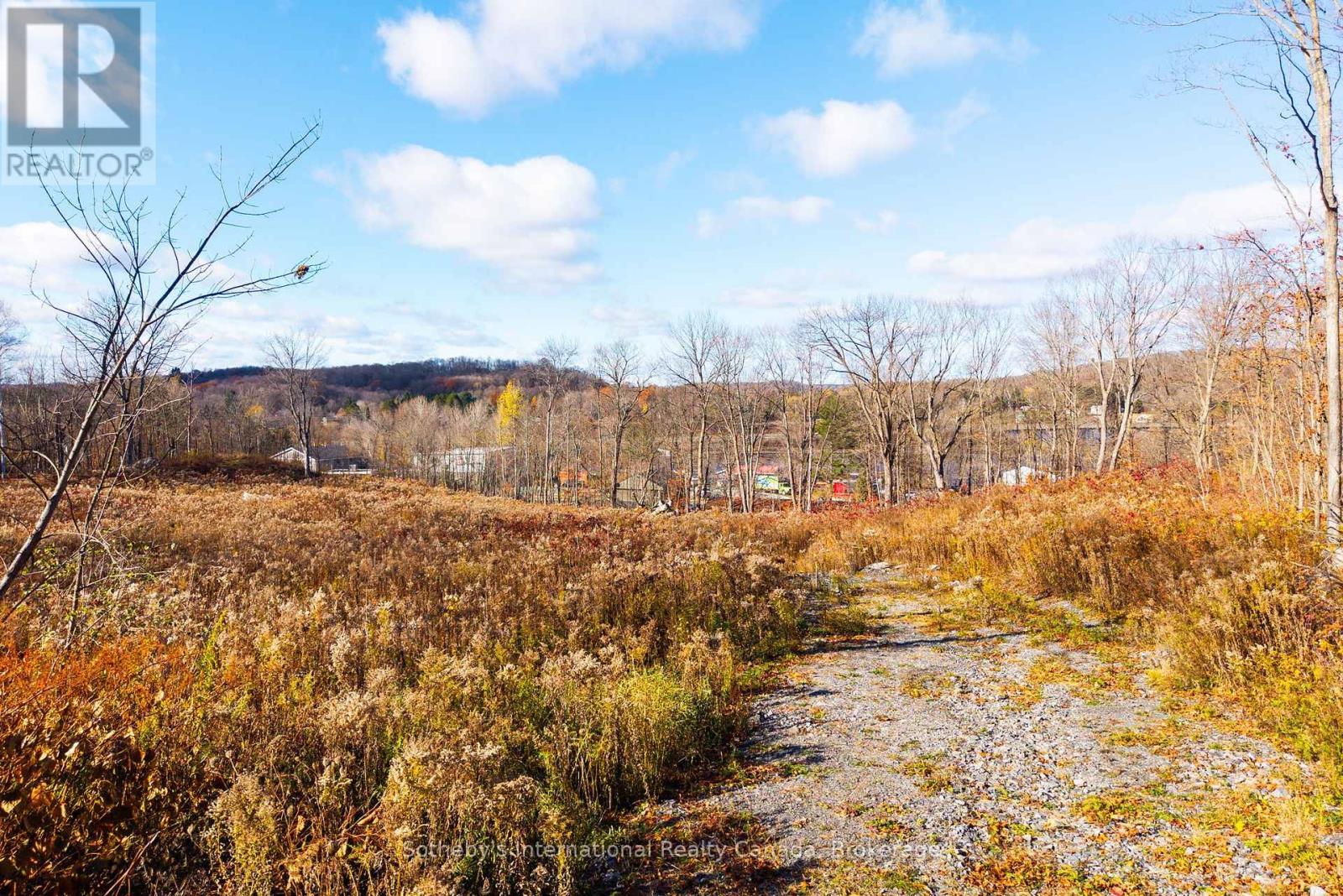 48 West Elliott Street, Huntsville (Chaffey), ON