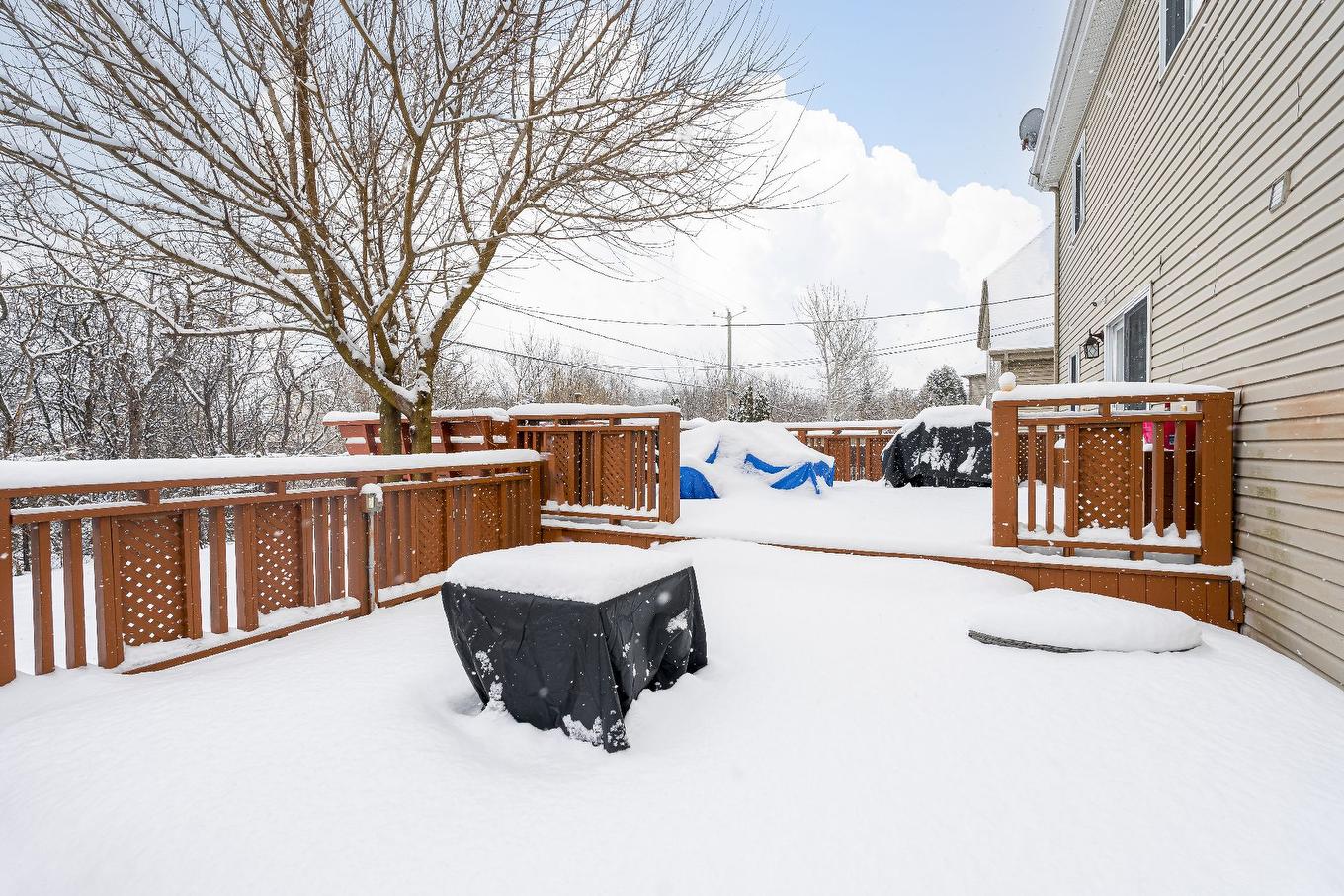 Backyard - 141 Rue De Villandry, Vaudreuil-Dorion, QC - Outdoor