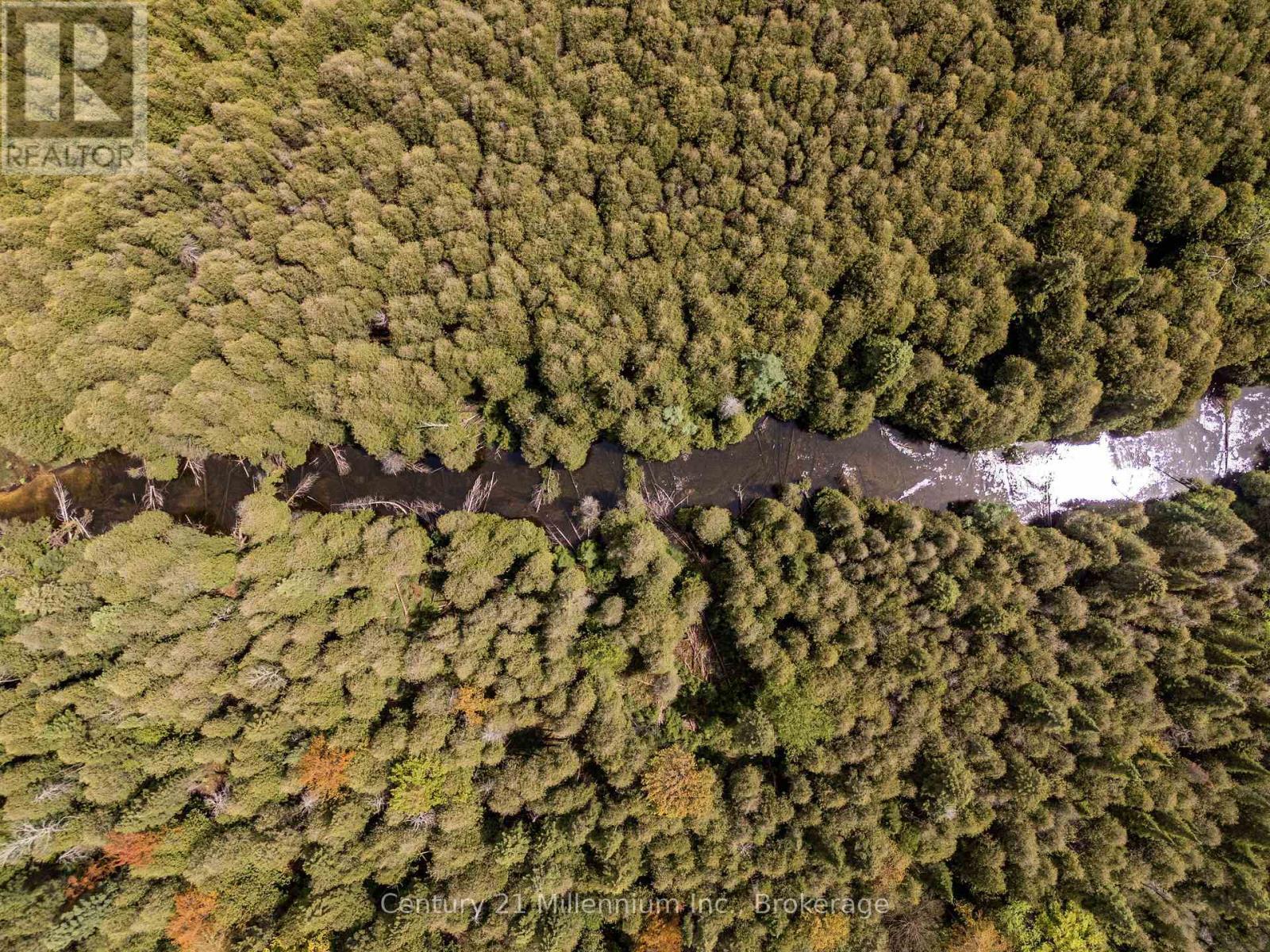 525197 Artemesia Euphrasia Townline, Grey Highlands, ON