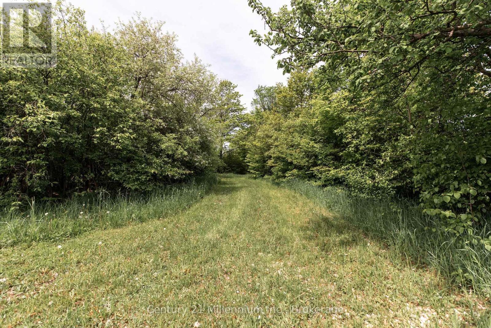 525197 Artemesia Euphrasia Townline, Grey Highlands, ON