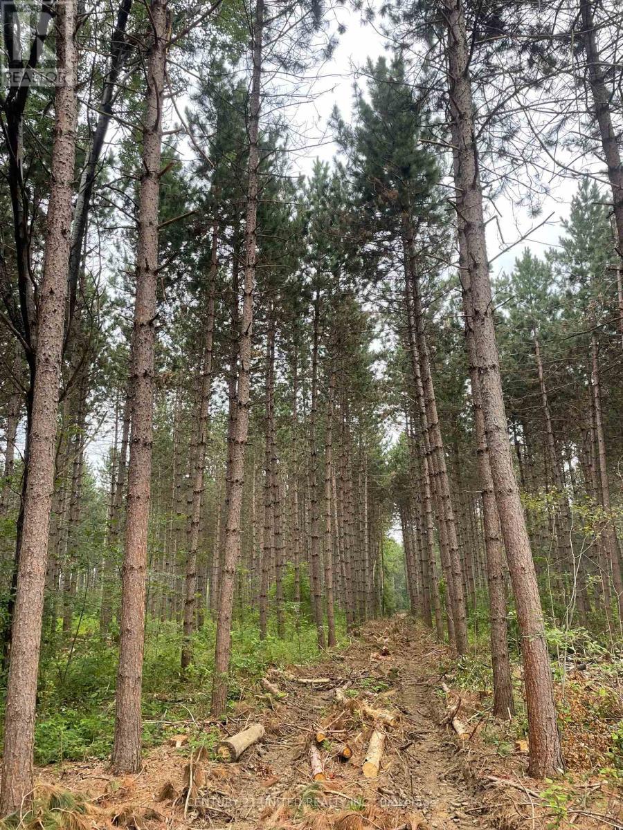 0 Government Road, Whitewater Region, ON