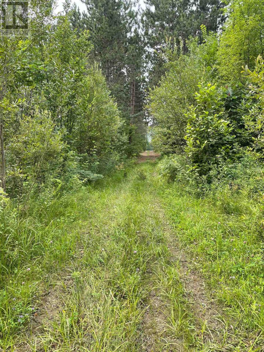 0 Government Road, Whitewater Region, ON