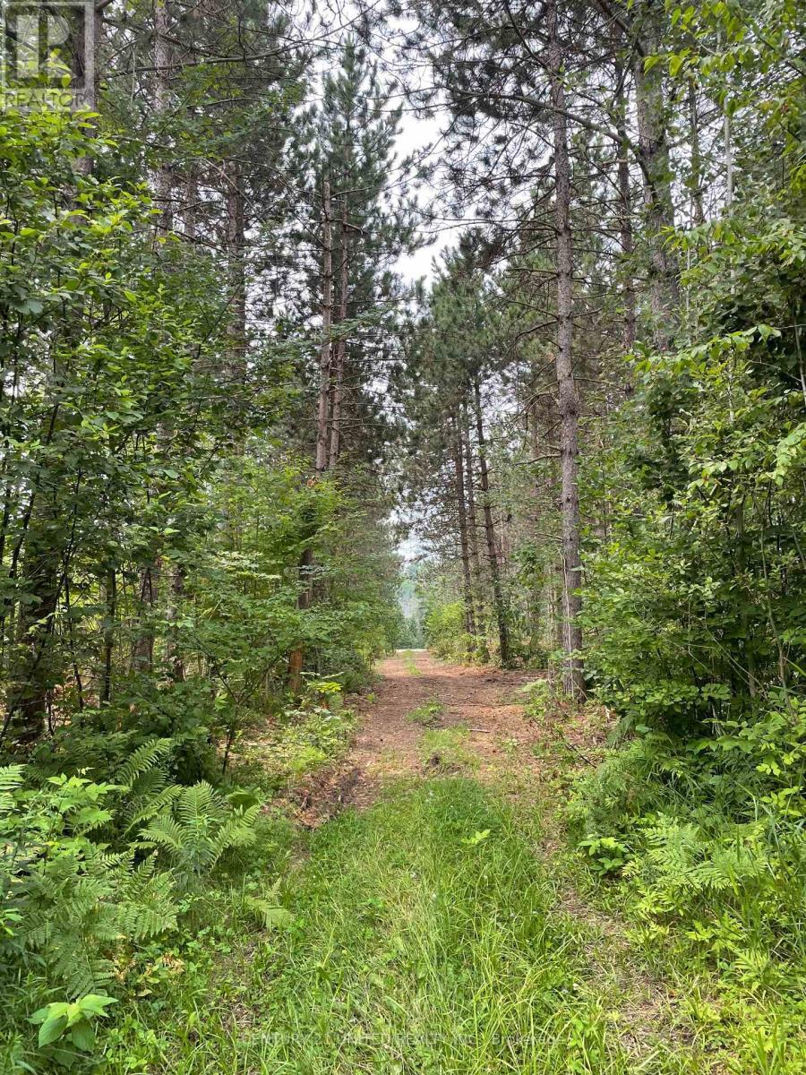 0 Government Road, Whitewater Region, ON