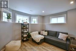 lower living room -
