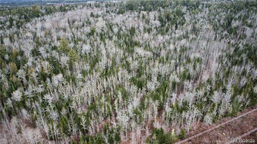 Lot Route 735, Mayfield, NB