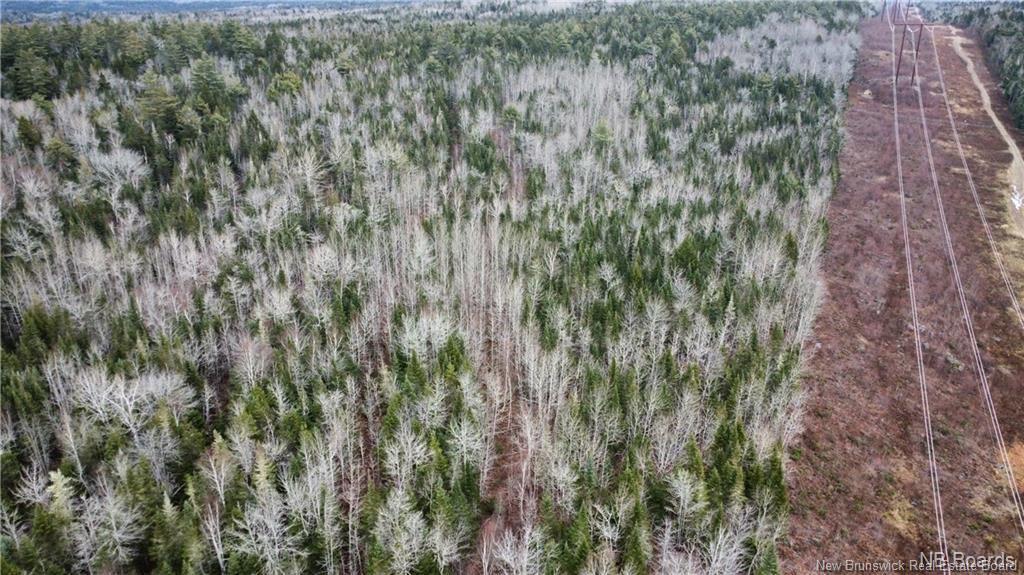 Lot Route 735, Mayfield, NB