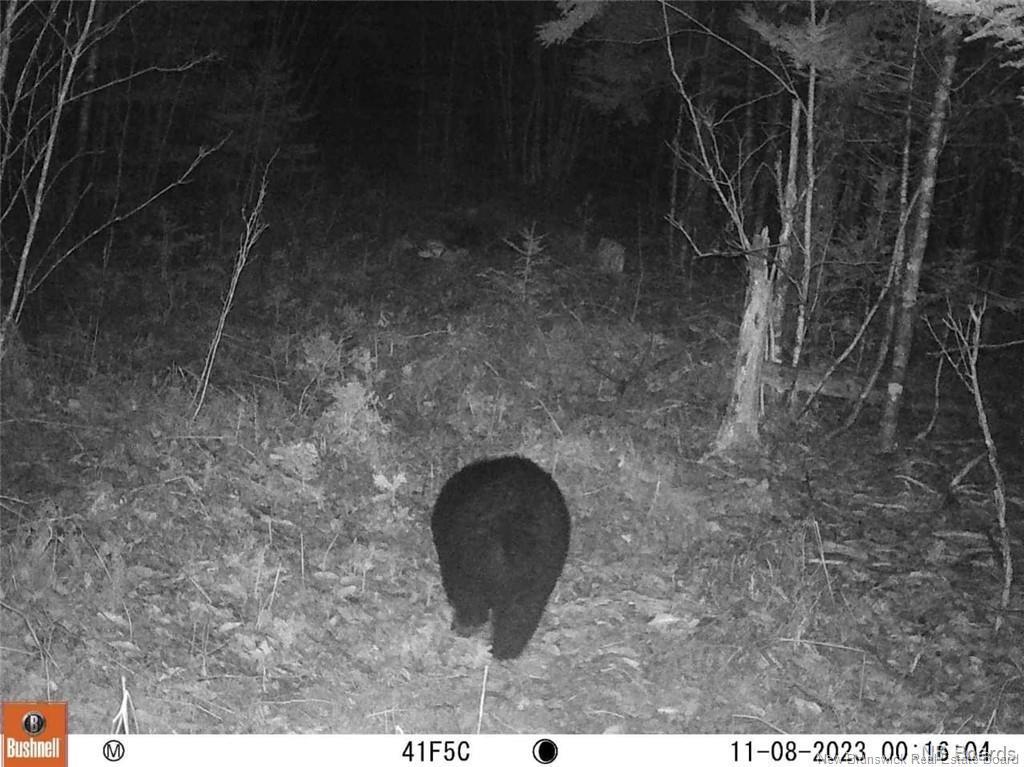 Lot Route 735, Mayfield, NB