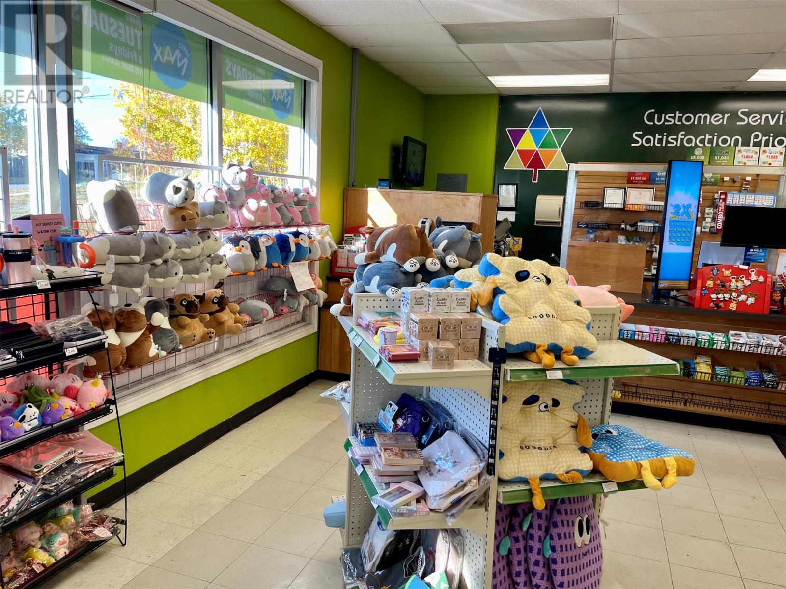 3 Cartwright Plaza, Grand Falls-Windsor, NL