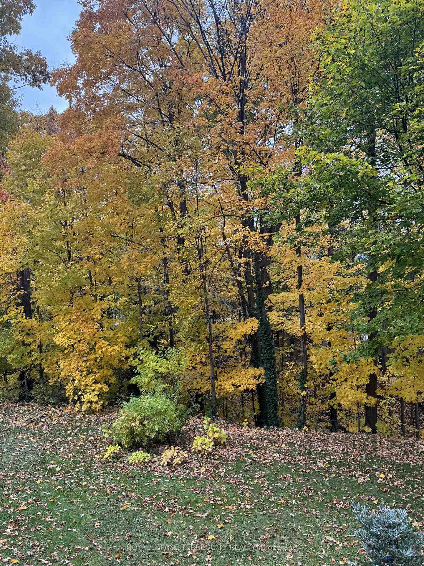 Main-59 Leggett Avenue, Toronto, ON - Outdoor With View