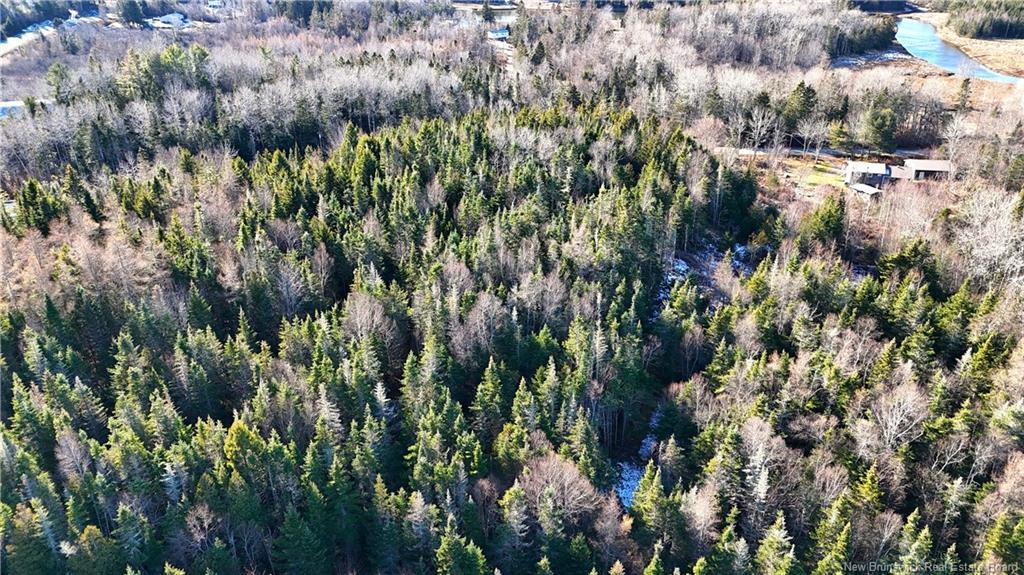 43 Spur No.1 Rd, Bocabec, NB