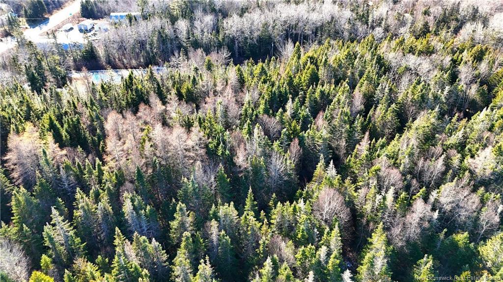 43 Spur No.1 Rd, Bocabec, NB