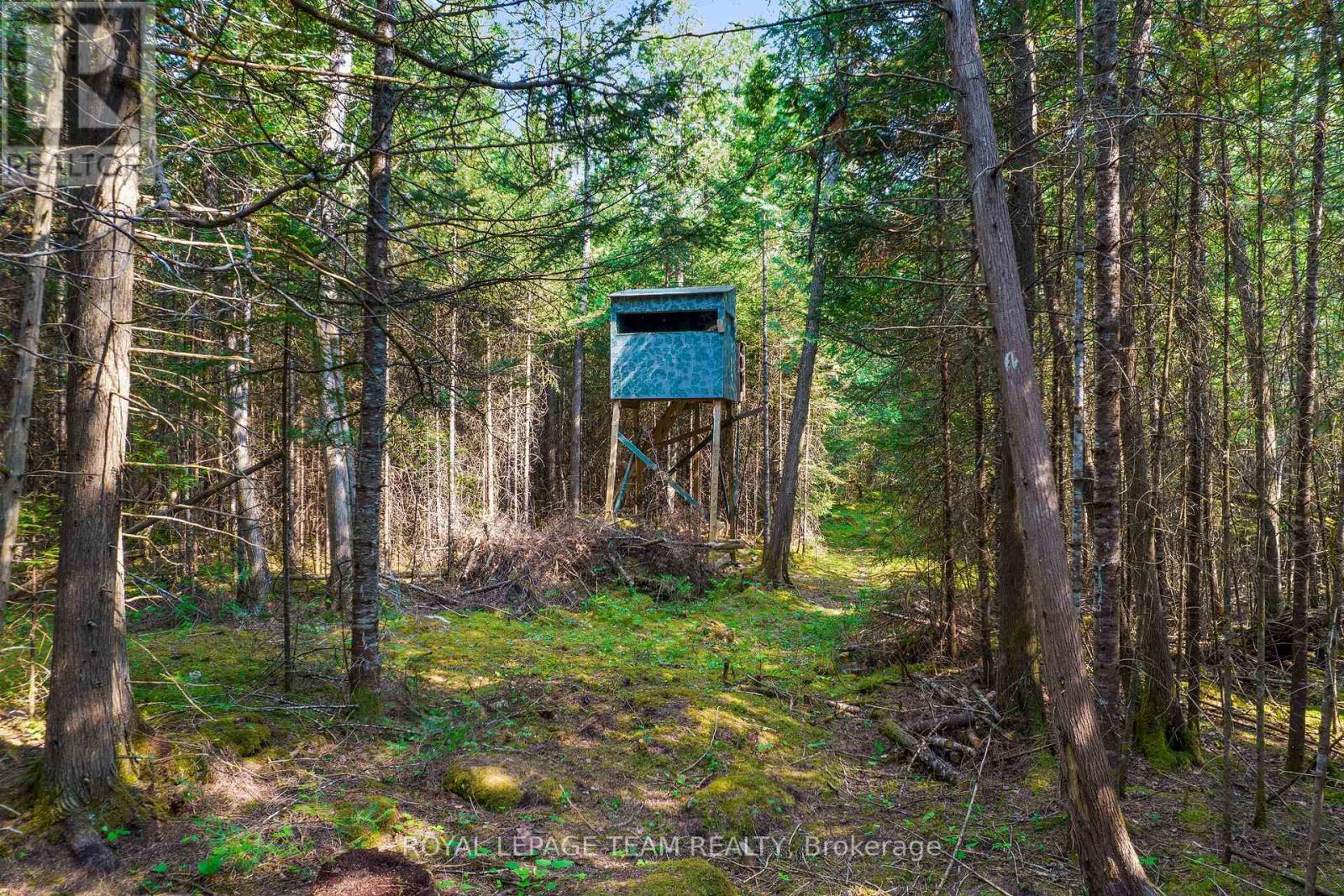 1034 Rapid Road, Whitewater Region, ON