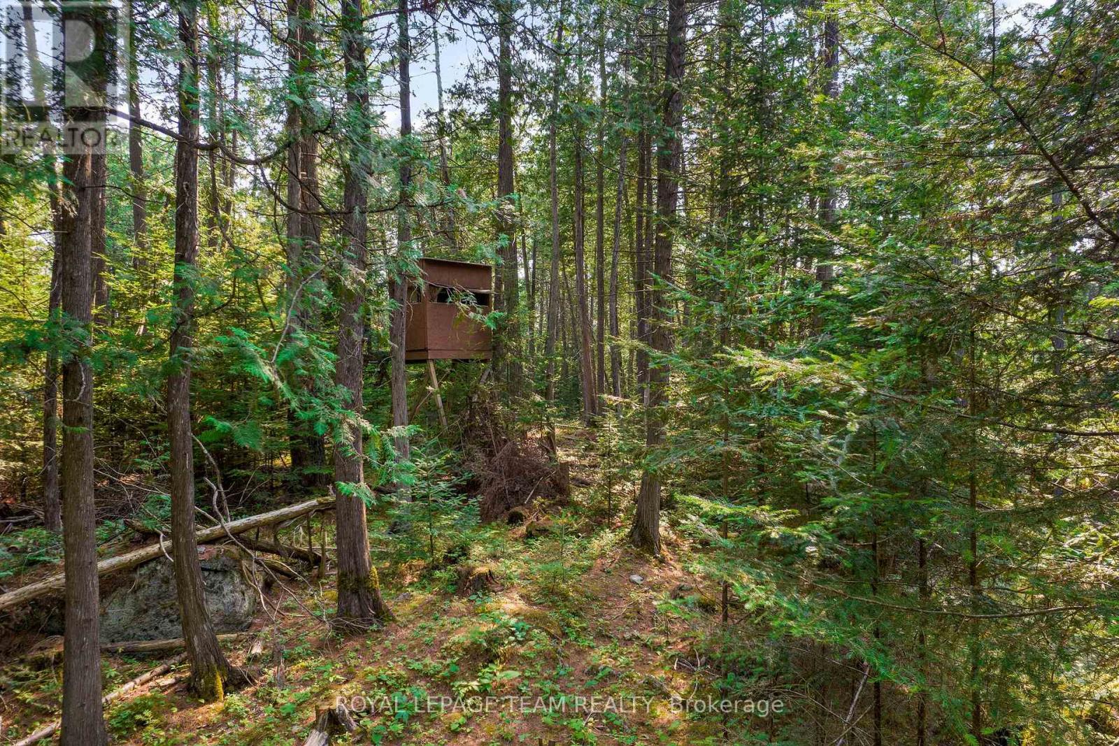 1034 Rapid Road, Whitewater Region, ON