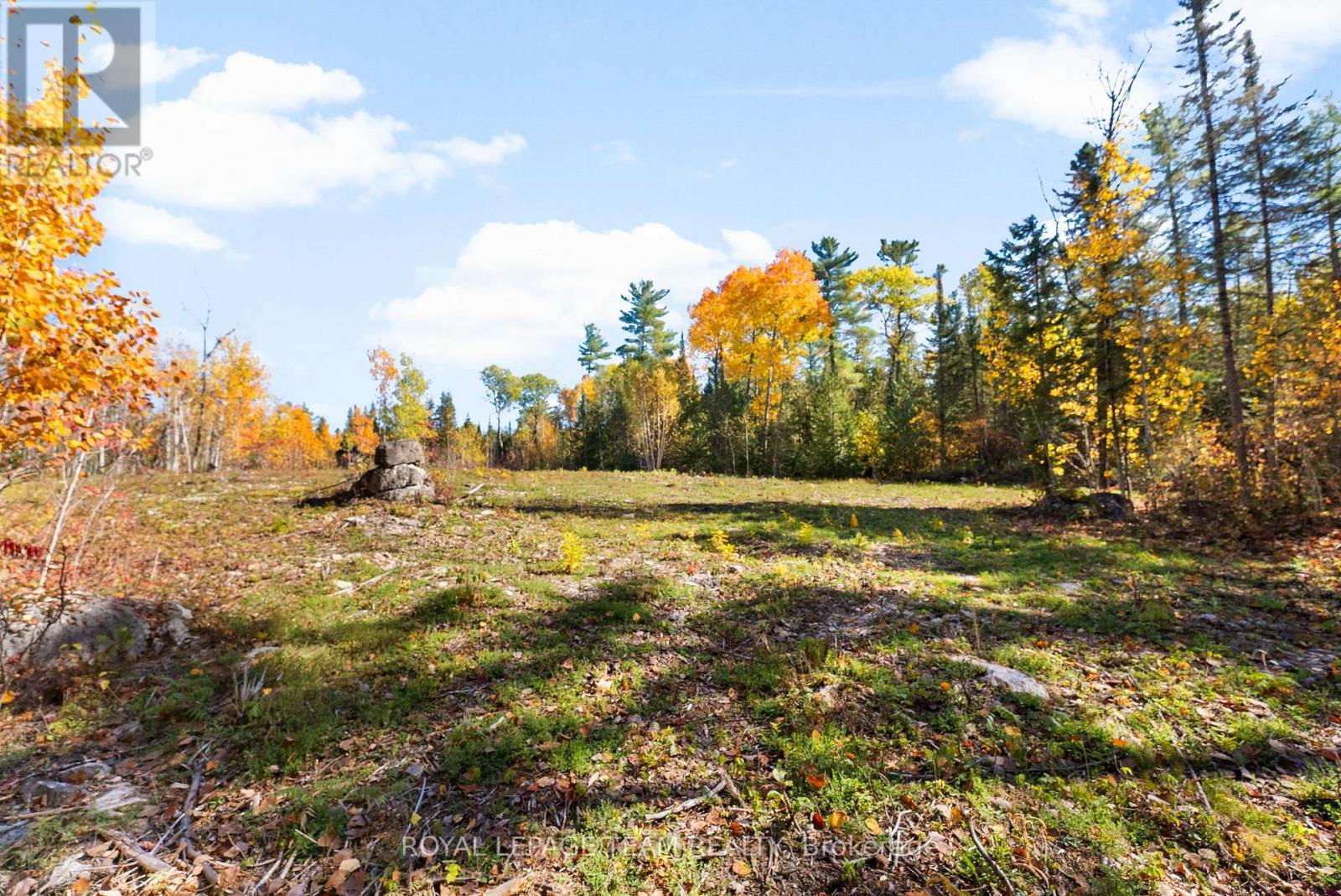 1034 Rapid Road, Whitewater Region, ON