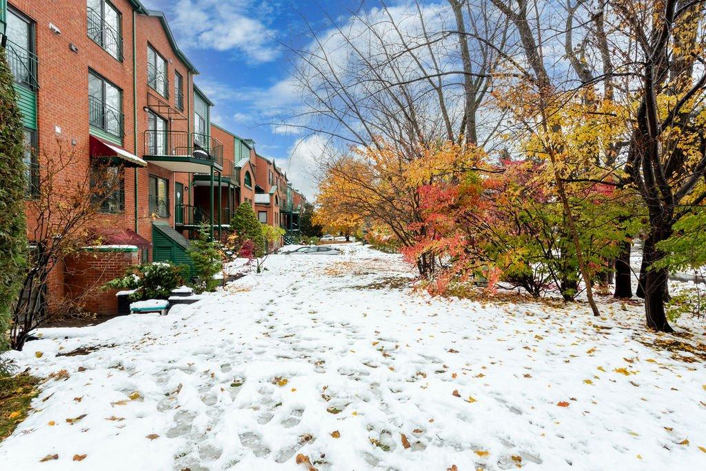 Cour - 331 Rue De La Noue, Montréal (Verdun/Île-Des-Soeurs), QC - Outdoor