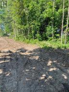 3365 ARMAND AVENUE Severn, ON L0K 2B0