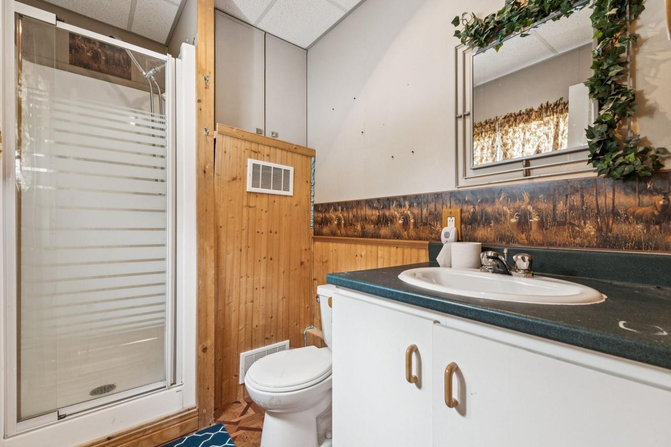 Salle de bains - 98 Ch. Gauthier, Gracefield, QC - Indoor Photo Showing Bathroom