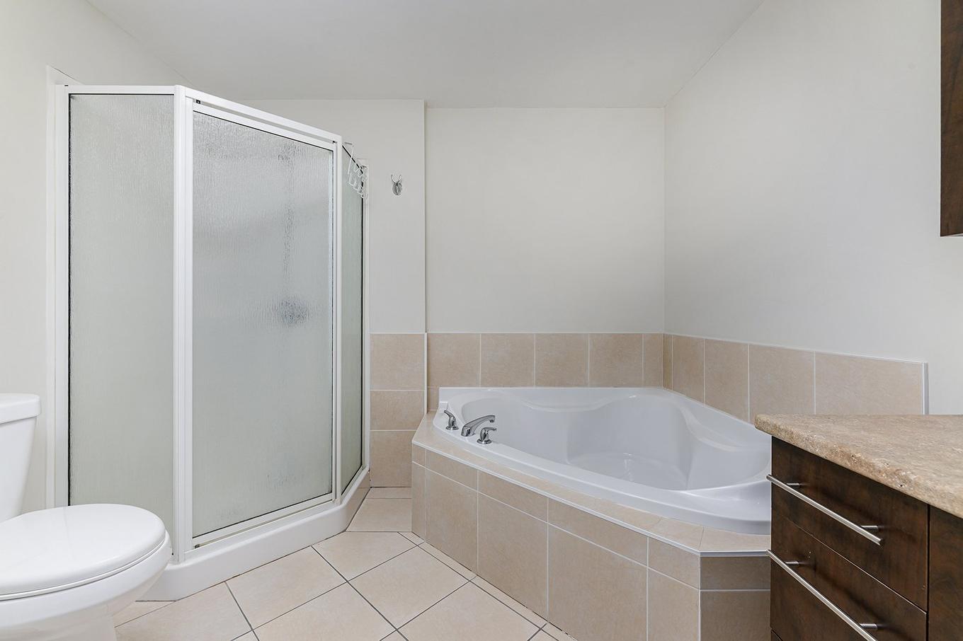 Salle de bains - 206-3095 Av. Ernest-Hemingway, Montréal (Saint-Laurent), QC - Indoor Photo Showing Bathroom