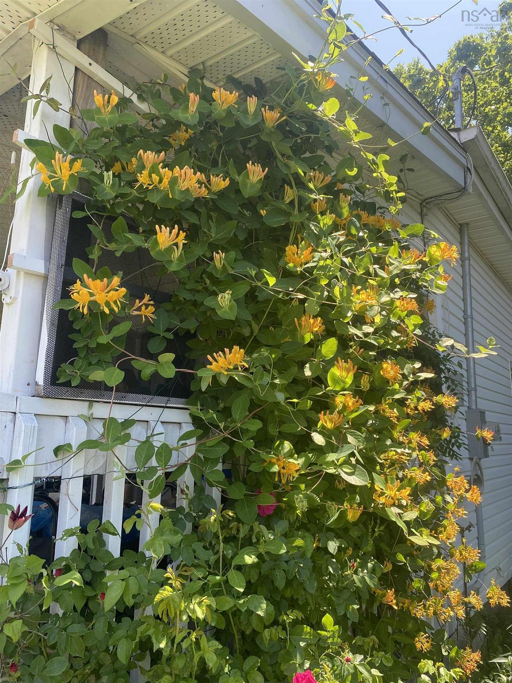 44 Courtney Road, Dartmouth, NS