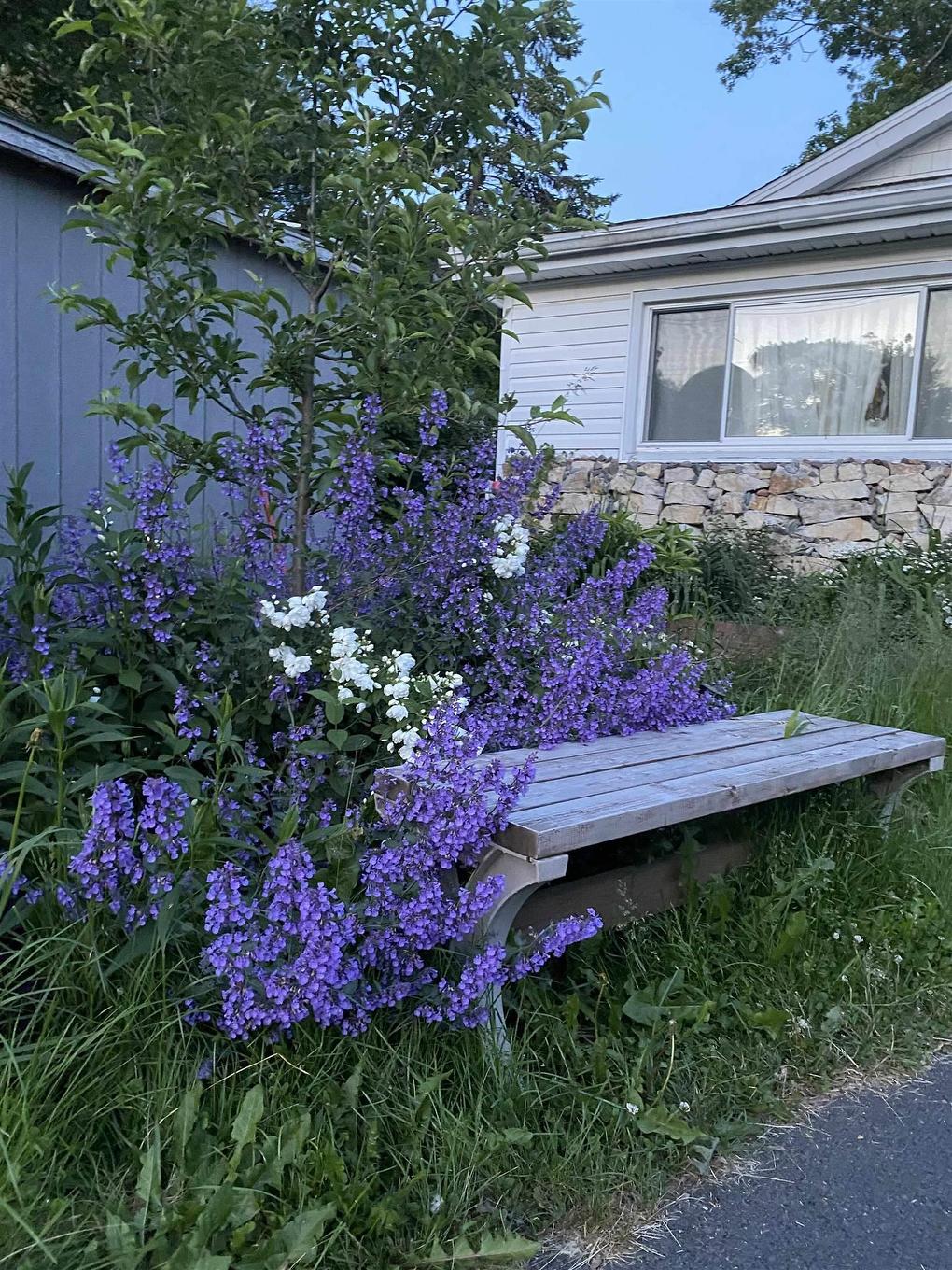 44 Courtney Road, Dartmouth, NS