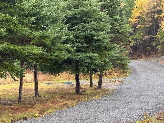 9118 316 Highway, Guysborough County, NS