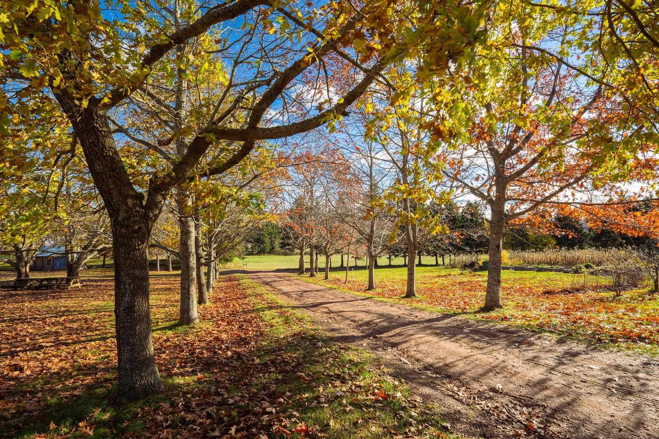 2229 New Glasgow Road, Wheatley River, PE