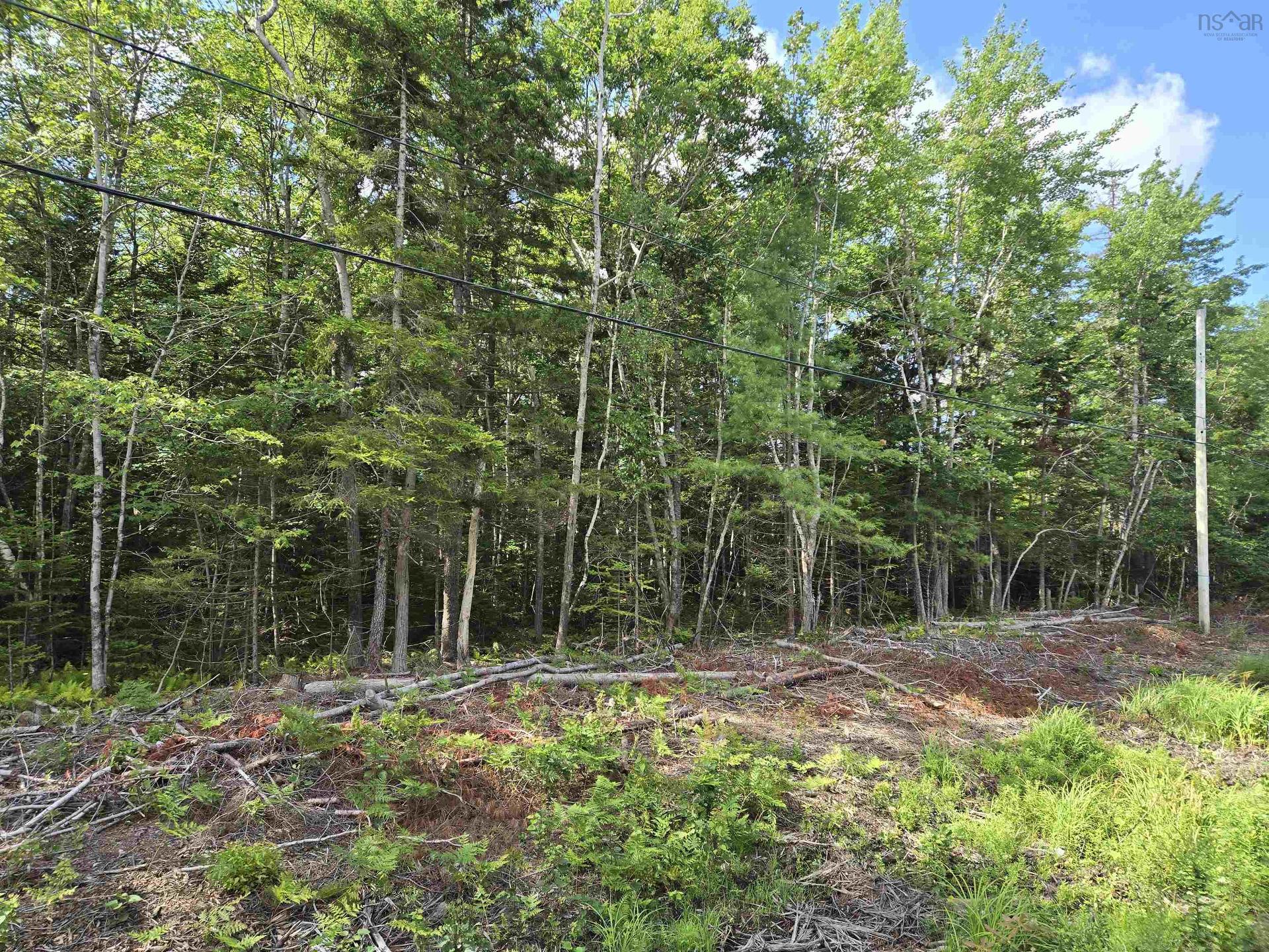 Lot 1 Conquerall Road, Conquerall Bank, NS