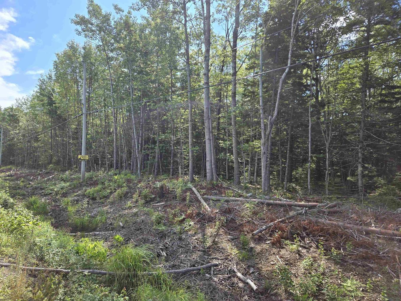 Lot 1 Conquerall Road, Conquerall Bank, NS